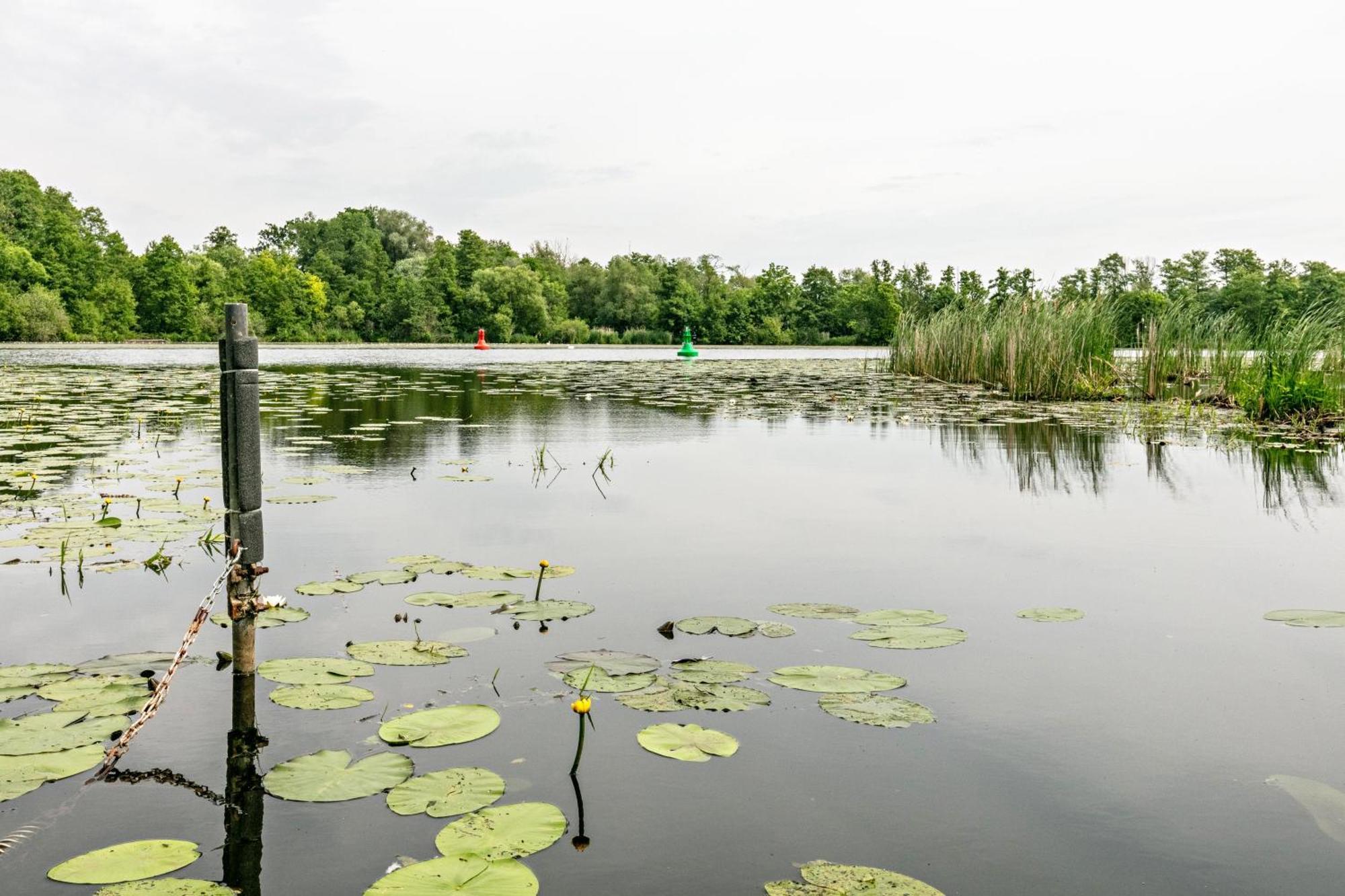 Haus Am See Villa Königs Wusterhausen Eksteriør bilde