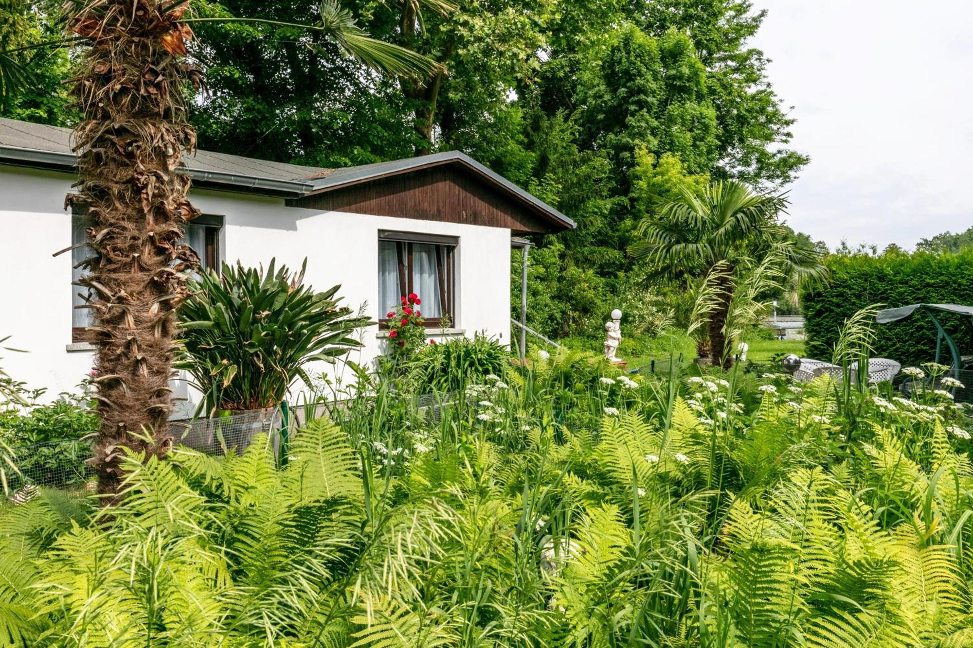 Haus Am See Villa Königs Wusterhausen Eksteriør bilde